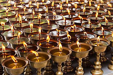 《流浪猫物语》合集6月27日登陆Switch 治愈系冒险